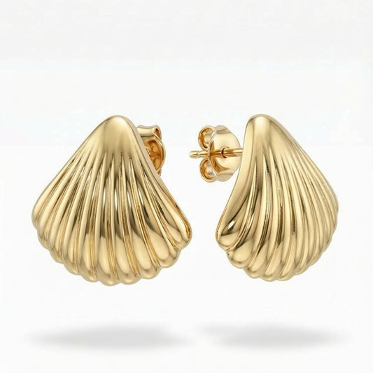 Shell Stud Earrings
